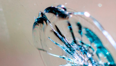 Especialistas en reparar Lunas